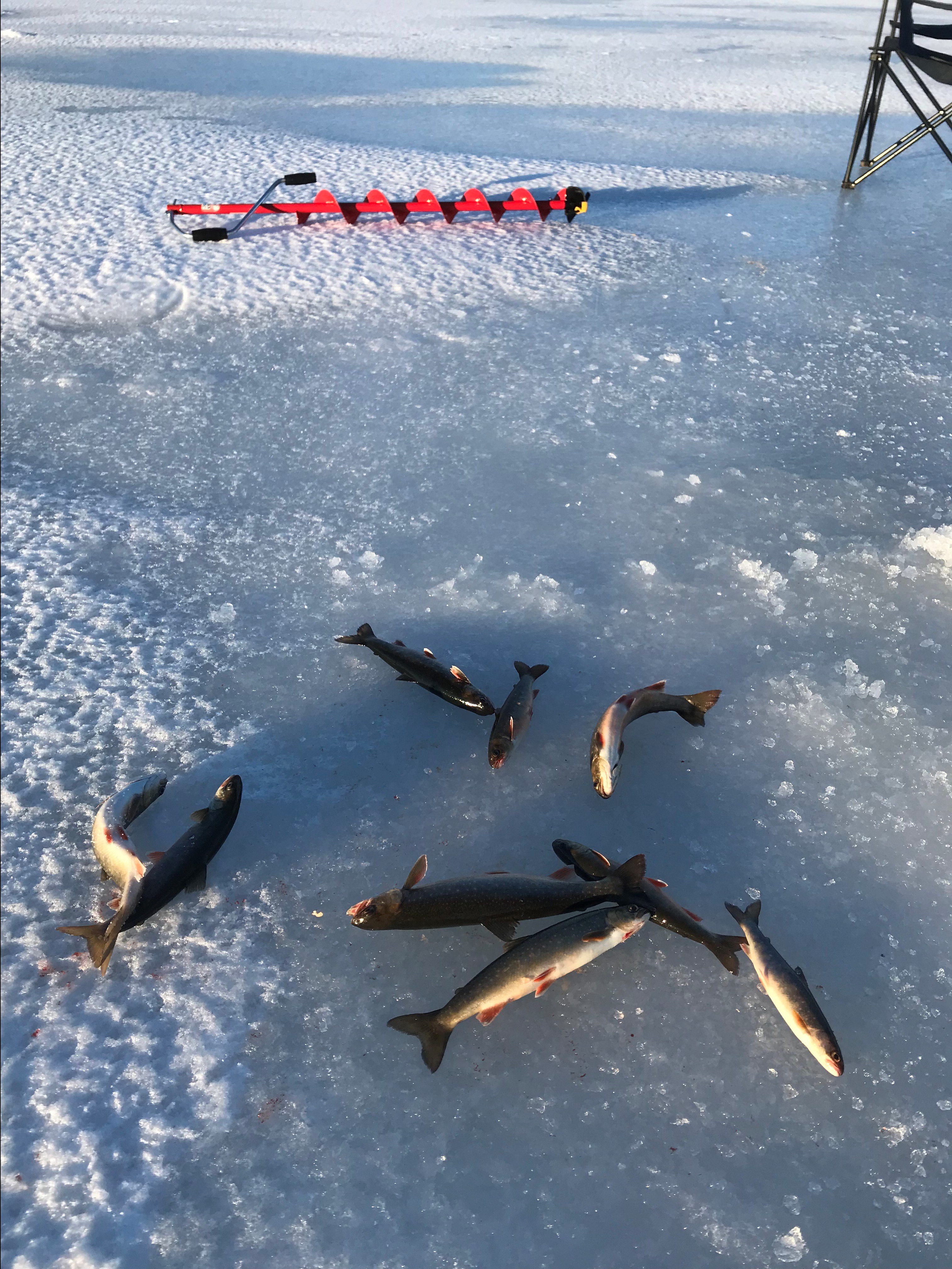 Isfiske på Høgjæren