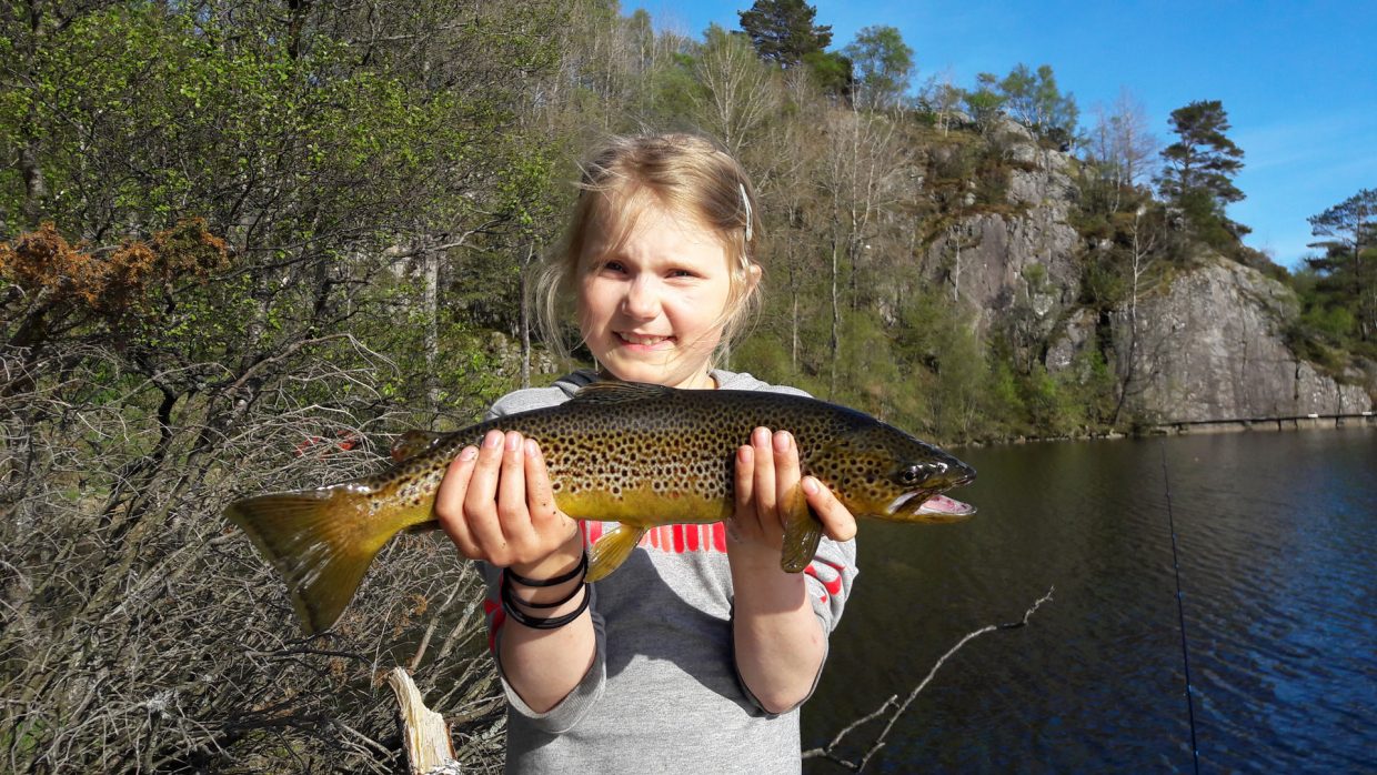 Fin ørret tatt på sluk