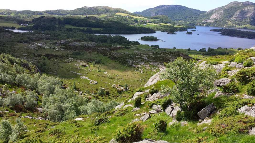Oversikt over Lutsivannet